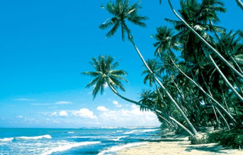 SAI GON - MUI NE 3 DAYS 2 NIGHTS