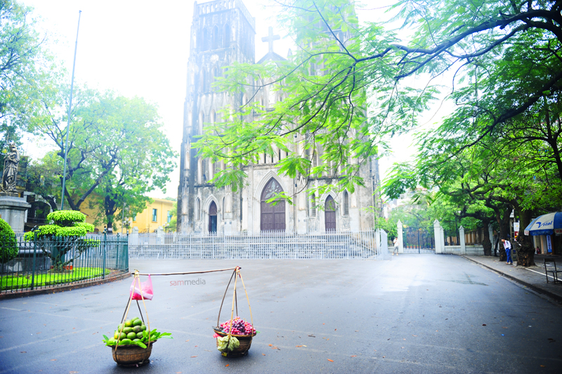 Vietnam Tour 8 Days - Tailor Made tour