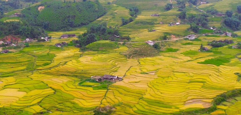 HANOI - SAPA - CAT CAT - HAM RONG - FANSIPAN
