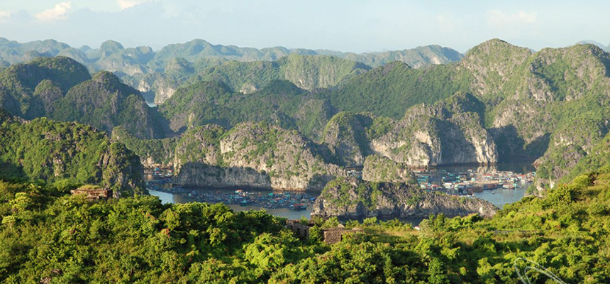 D03 – CAT BA ISLAND