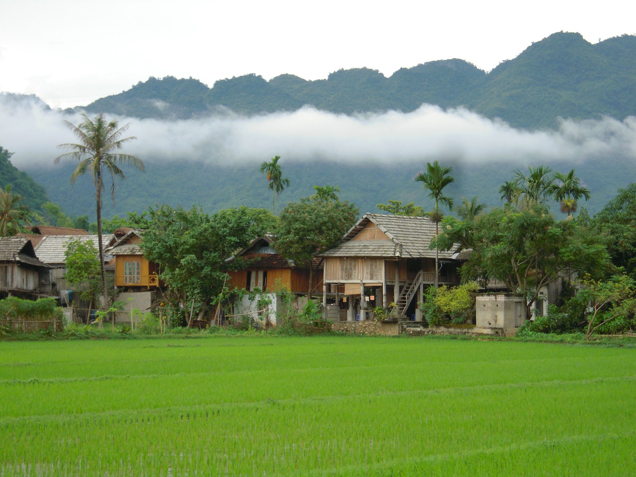 2 Days Trip Mai Chau Valley Retreat  (Standard – Classic tour)
