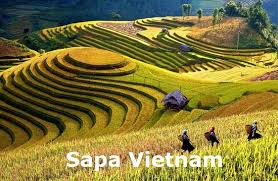  2 Days 1 Night SaPa By Bus (Overnight in Hotel )