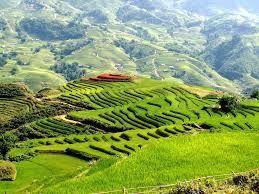 3 Day 2 Nights SaPa By Bus  Bac Ha Market  (2 Nightsin Hotel  - Depart on Friday , Saturday ) GS6