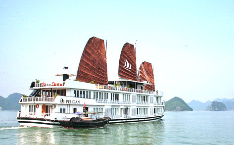 Pelican Ha Long Cruise Itinerary and Program 2 Days 1 Night